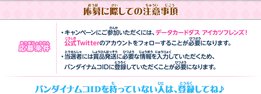 応募に際しての注意事項