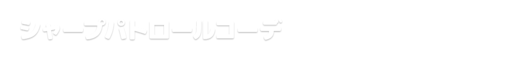 スターパトロールコーデ