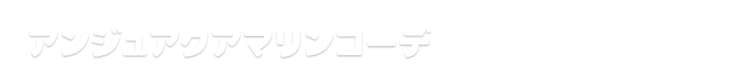 アンジュアクアマリンコーデ