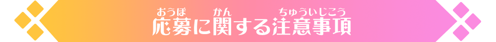 応募に関する注意事項